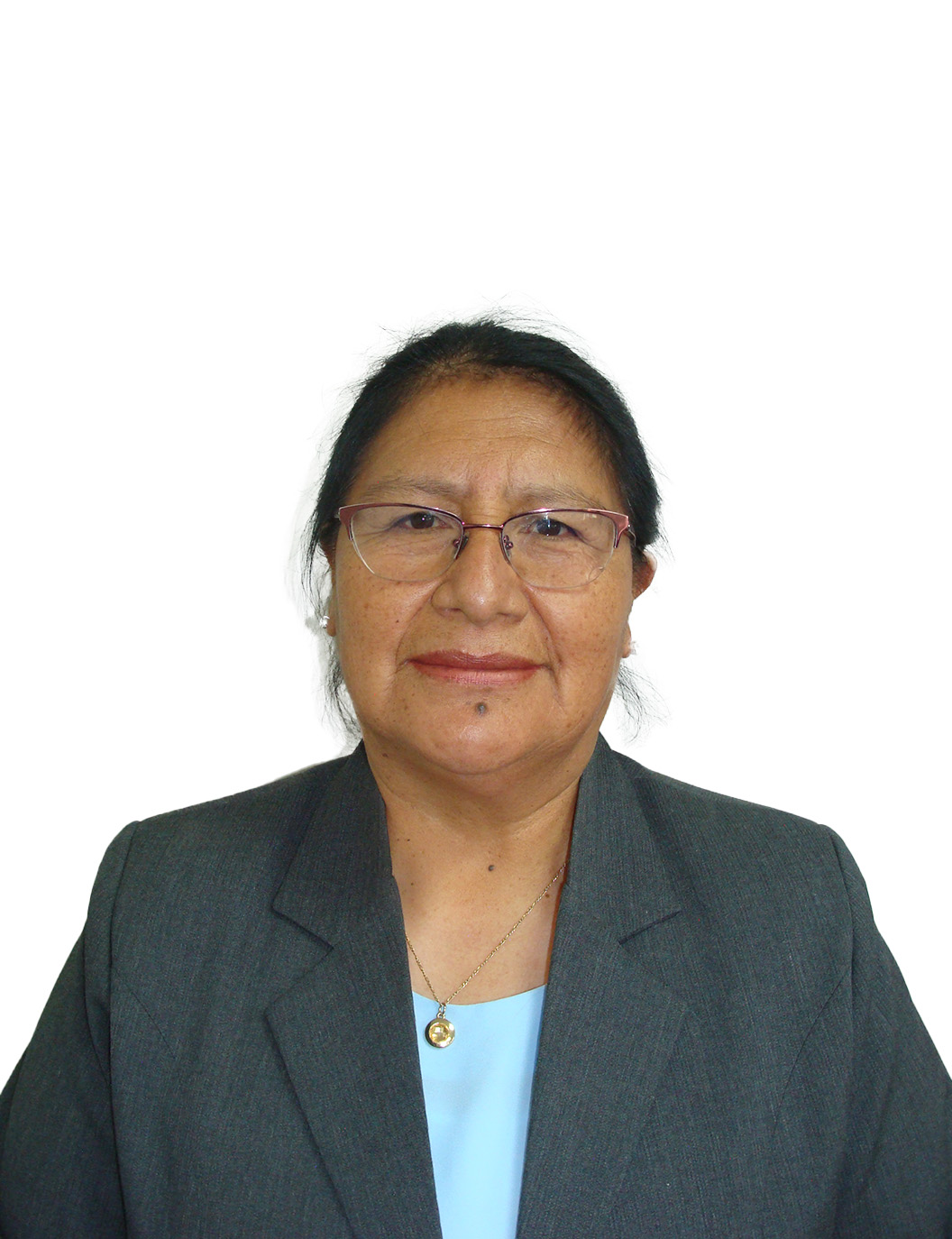 Foto del docente